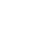 play icon